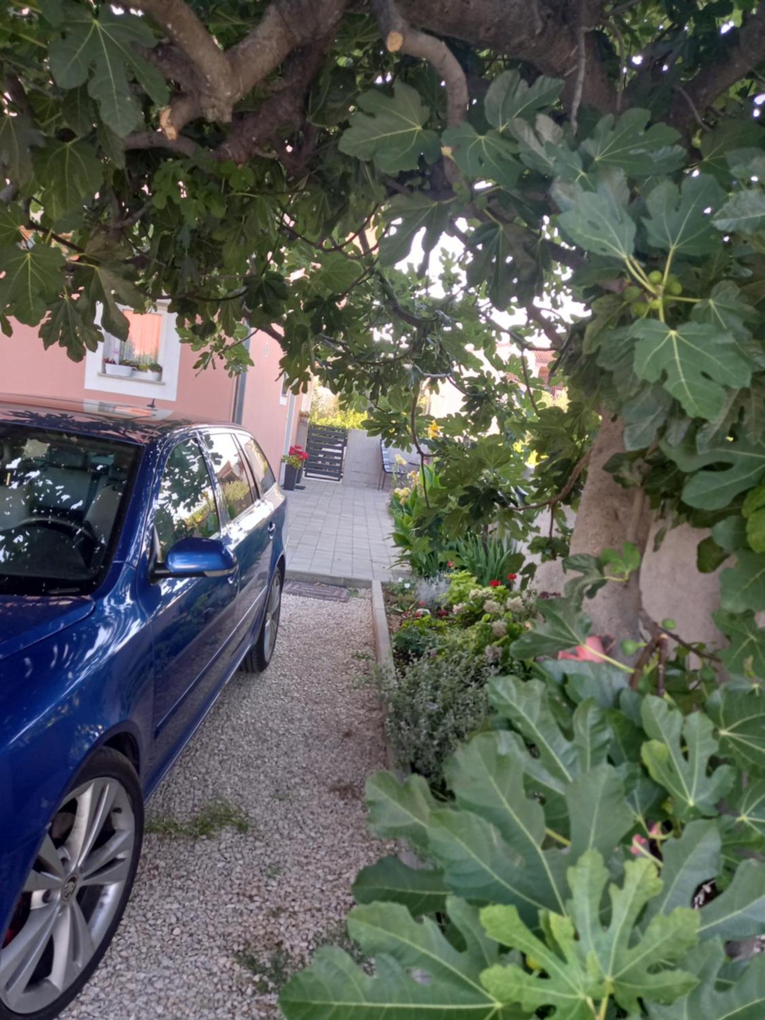 Dani Apartman Zára Szoba fotó