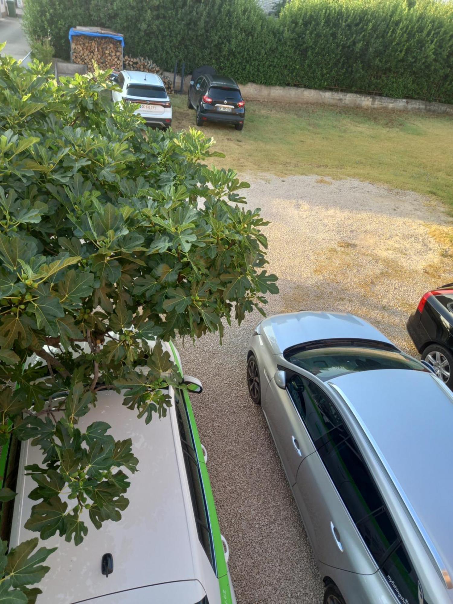 Dani Apartman Zára Szoba fotó
