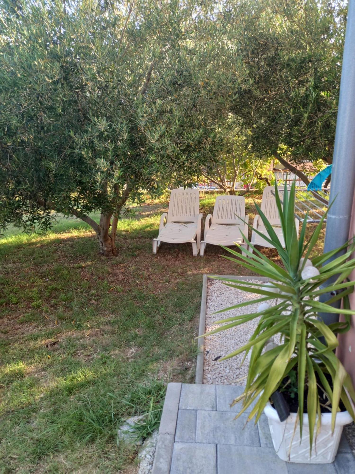 Dani Apartman Zára Szoba fotó